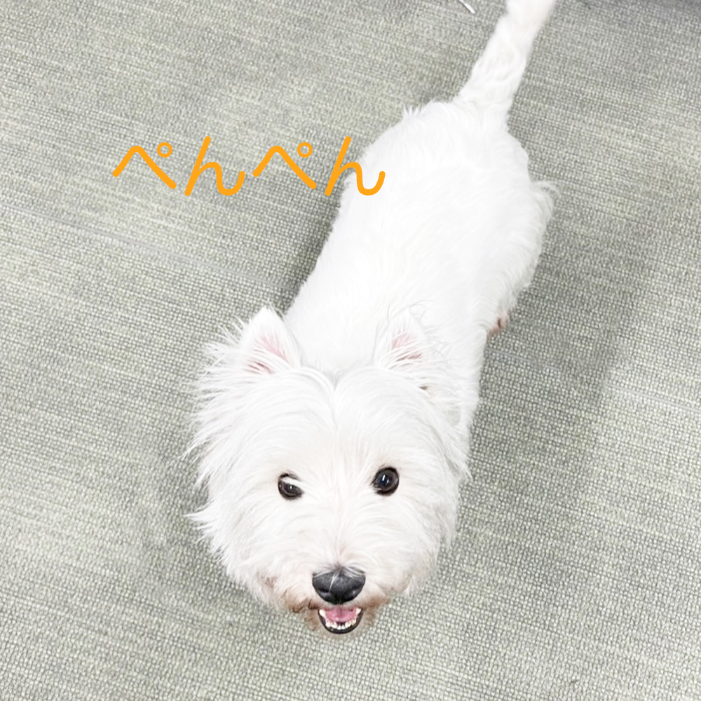 kBeĂꂽʐ^@